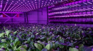 Ντουμπάι: Η γιγάντια, κάθετη φάρμα που θα παράγει εκατομμύρια τόνους τροφίμων ετησίως